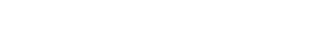 2. Kyu - Braun